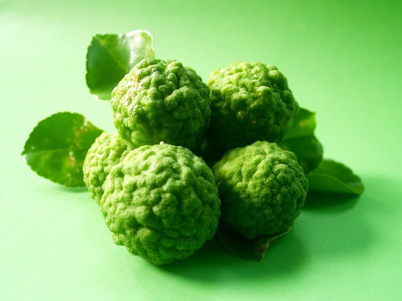 Kaffir Lime Leaves